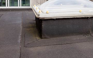 disadvantages of Skirbeck flat roofs