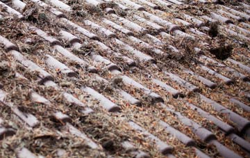 Skirbeck roof cleaning companies