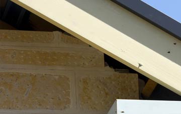 soffit repair Skirbeck