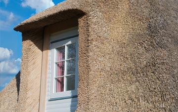 Skirbeck thatch roof disadvantages