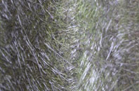 Skirbeck fibreglass roof work